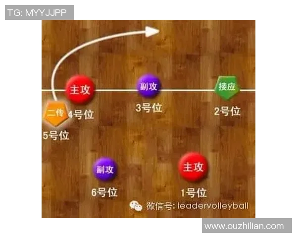 南京排球队快攻战术深度解析与实践应用探讨 南京排球队快攻战术深度解析与实践应用探讨