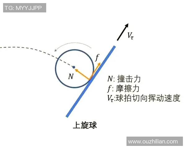 乒乓球新手攻略：个人能力入门指南