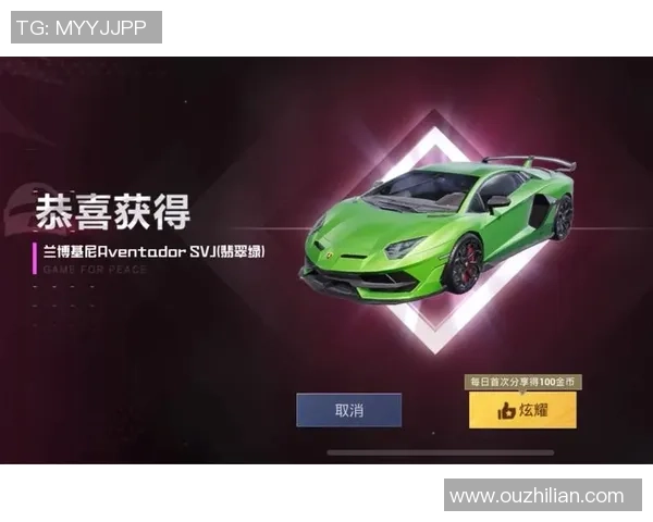 深度对话：刘芳的和平精英人生