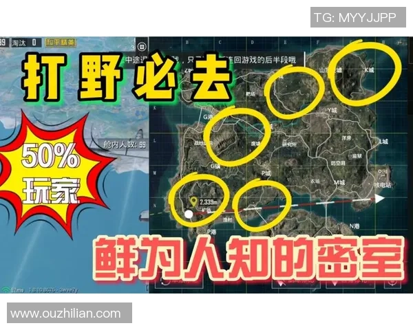 专访李敏：解密和平精英成功之道